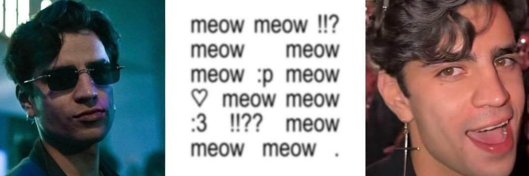 Jan ≽ܫ≼ 🐾 banner