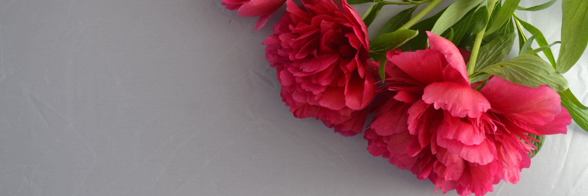_rugari's profile banner image