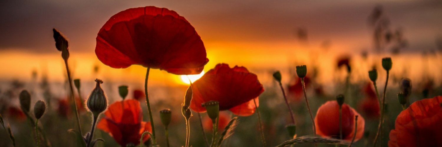 slgeorge86's profile banner image