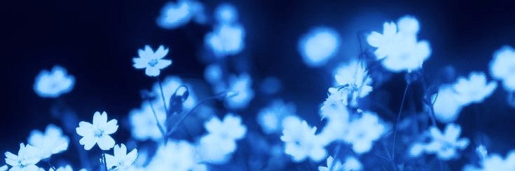 𝟴 banner