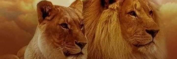 ATDream72's profile banner image