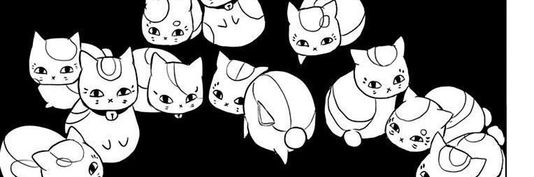 techitechi_neko's profile banner image