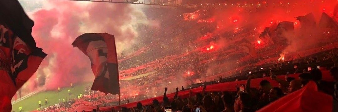 Flamenguista da roça banner
