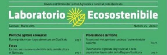 AFMatera's profile banner image