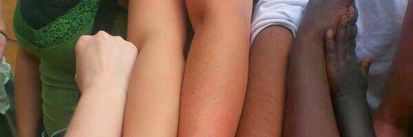 Newton P. Braga banner