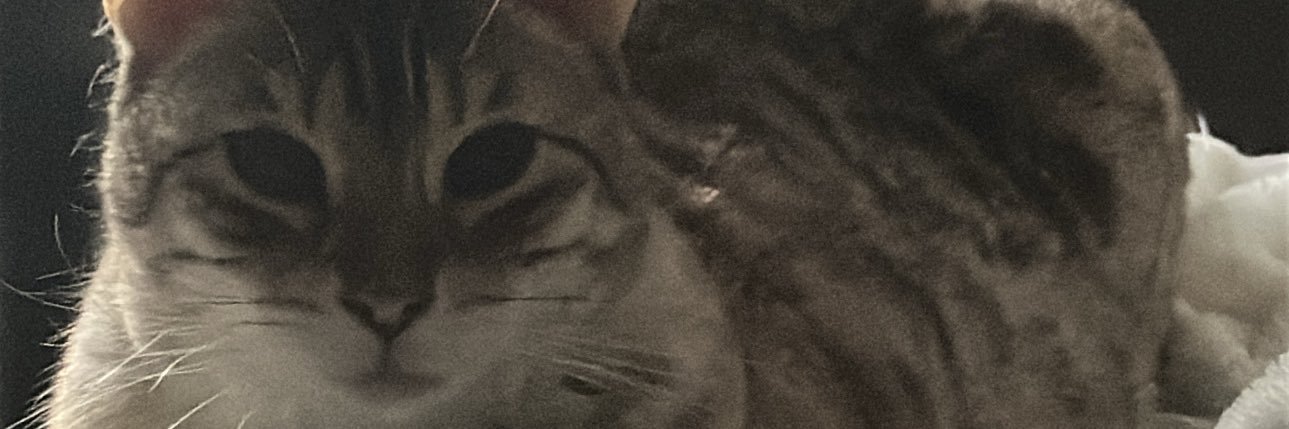Wick banner
