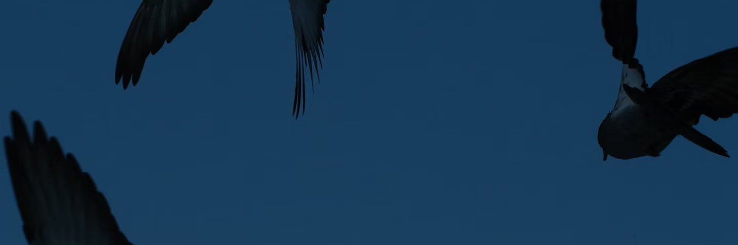 wwwchencom's profile banner image