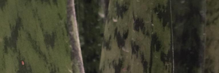 jhirschfeld's profile banner image