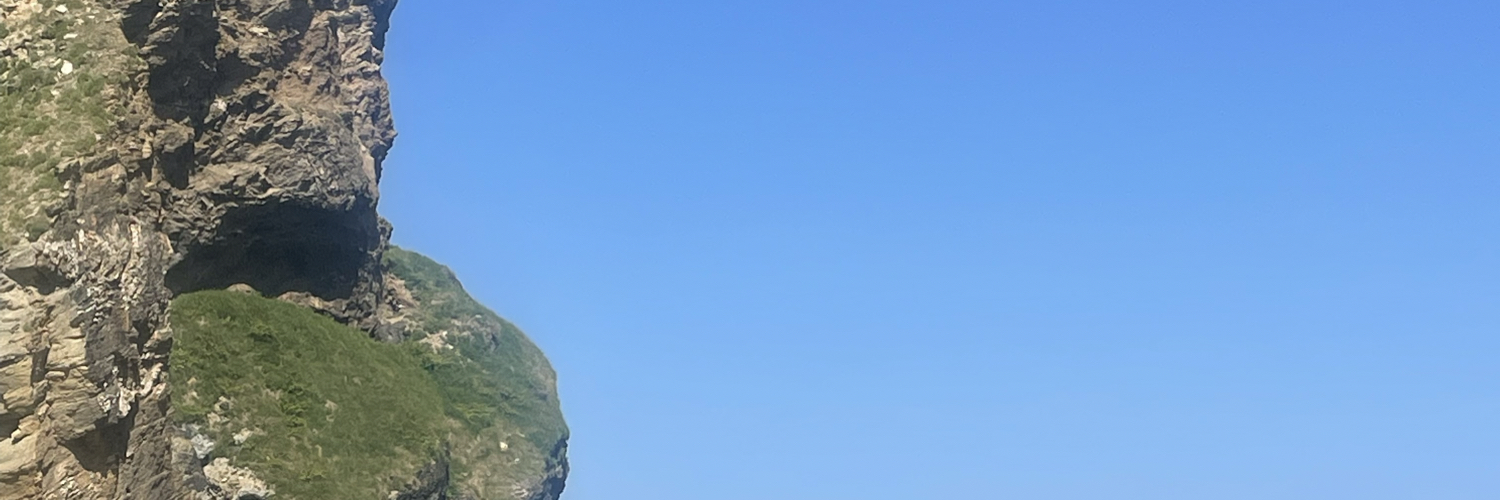 Mary Elliott  banner