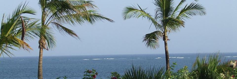 kmbungu's profile banner image