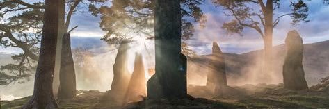 amazongodeswrap's profile banner image
