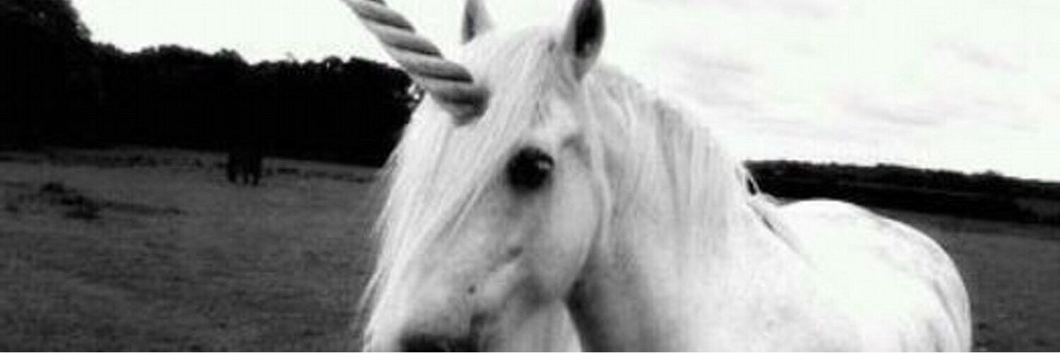 danalovess's profile banner image