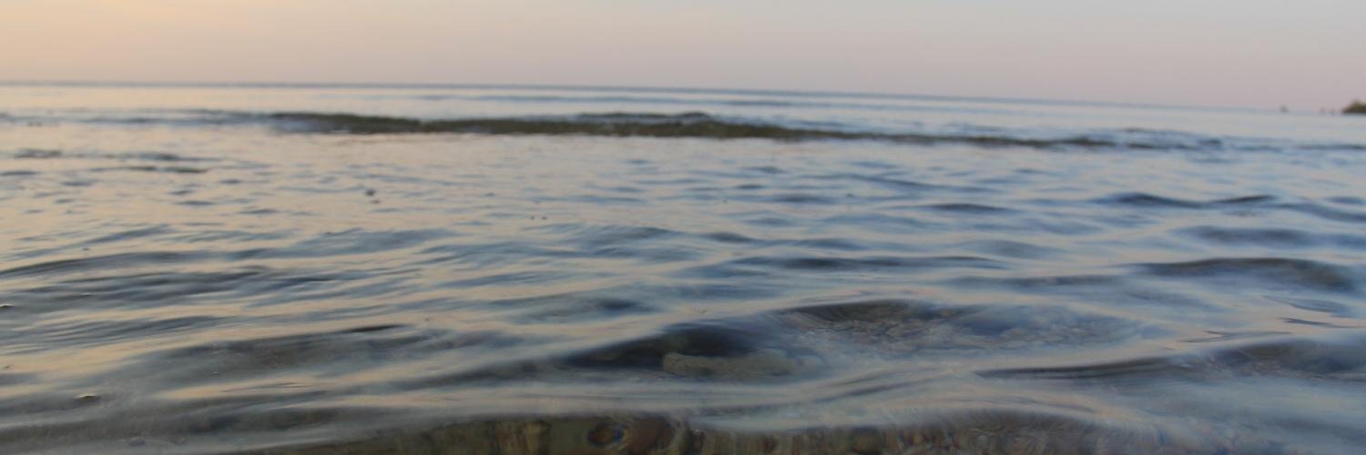 michaelsemp's profile banner image