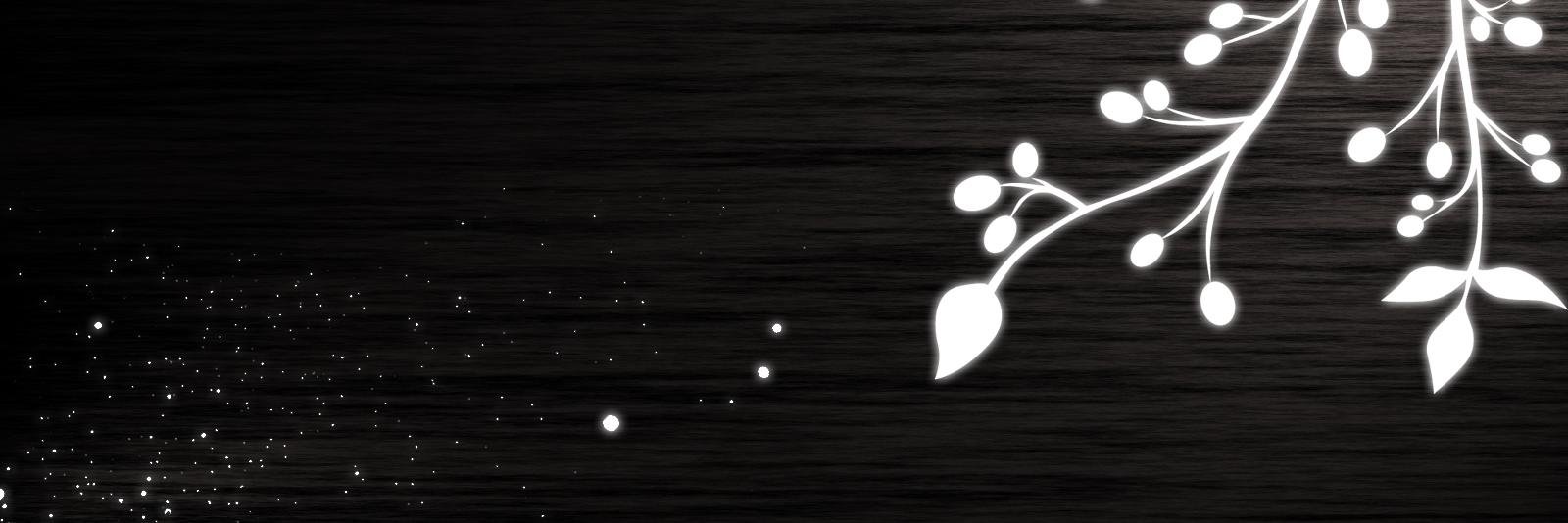 Adam McDermott banner