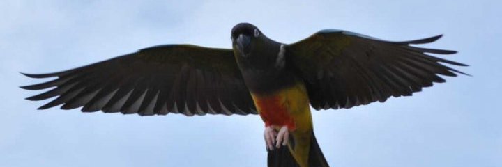mosheorot's profile banner image