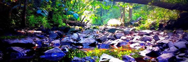 rayhowe Profile Banner