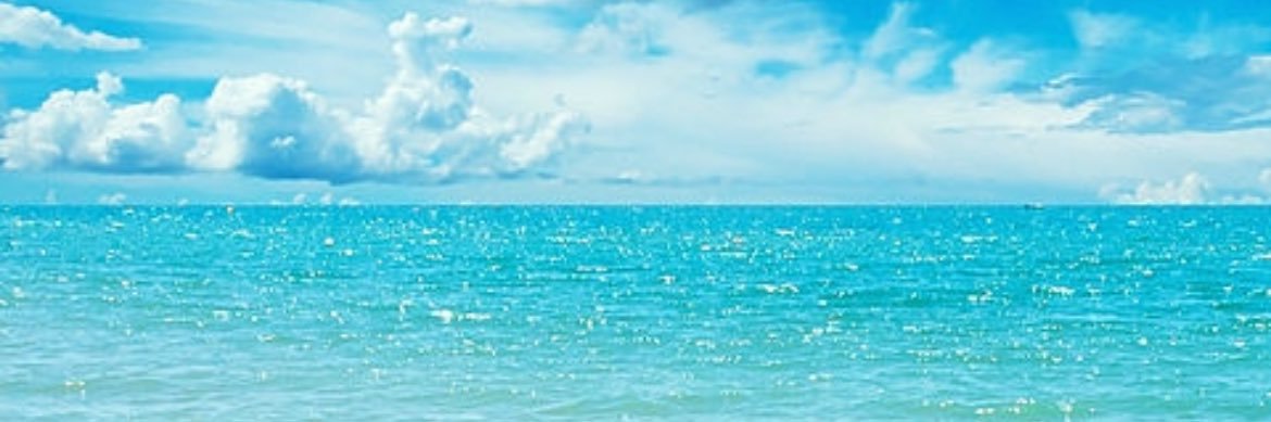yuuko1110's profile banner image