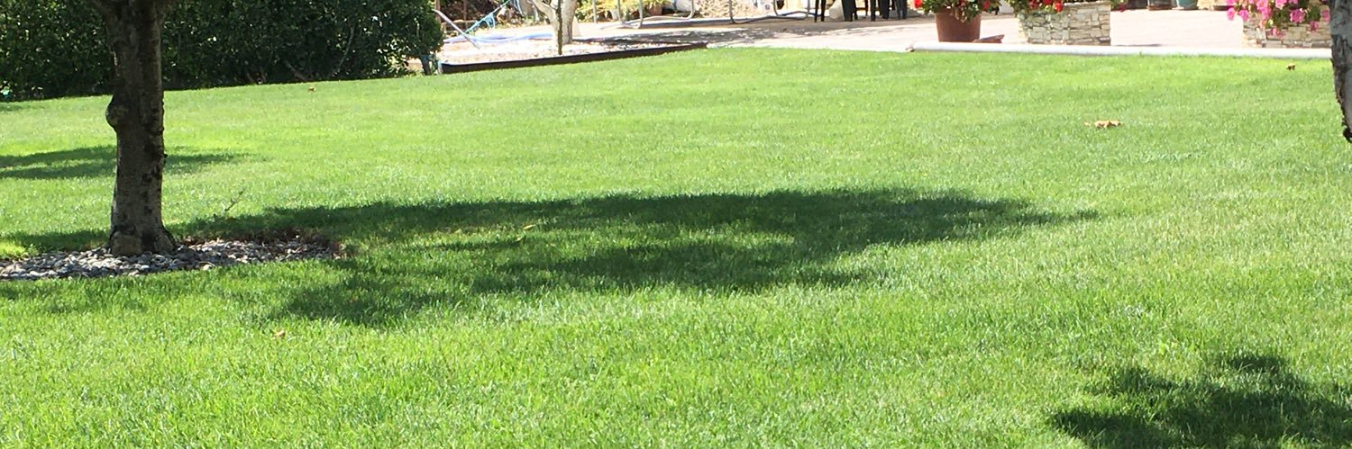 DavidPCiriza's profile banner image