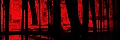 AaLycan's profile banner image
