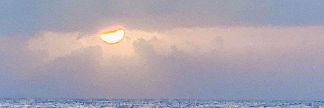 TangrediErin's profile banner image