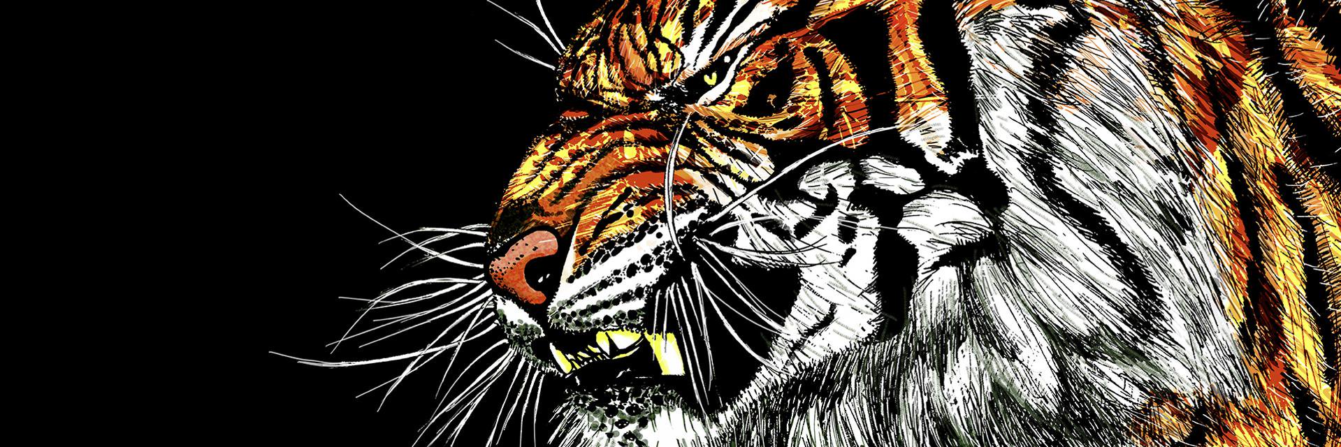 illustratorlam's profile banner image