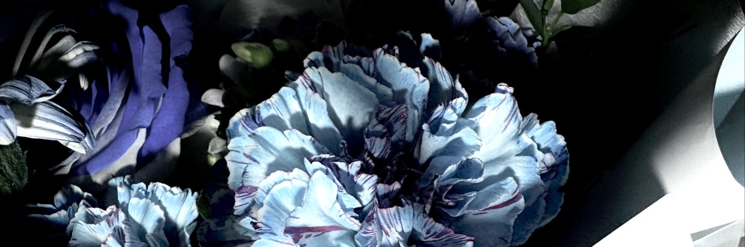 무이 むい banner