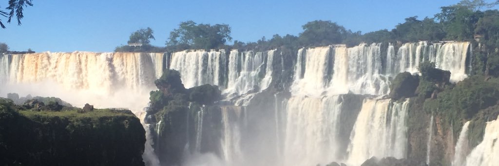 FalkTania's profile banner image