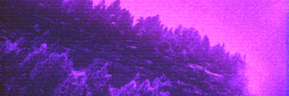 bonemoder's profile banner image