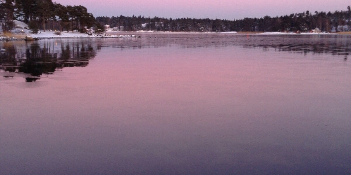 Helen Pettersson banner