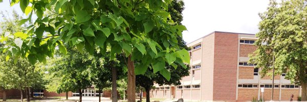 wossweb Profile Banner