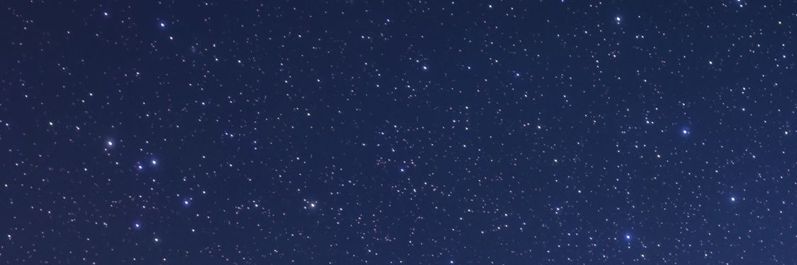 シン banner