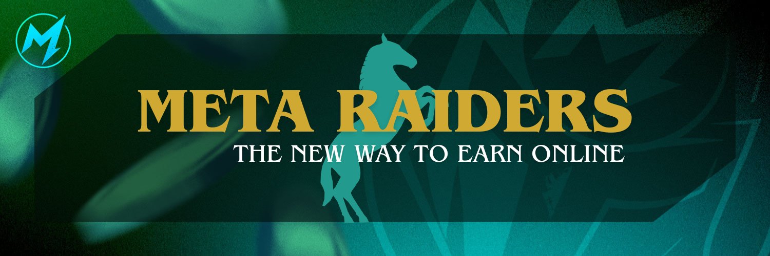 Meta Raiders banner