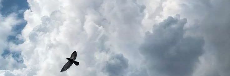 ArwaAlhassi's profile banner image
