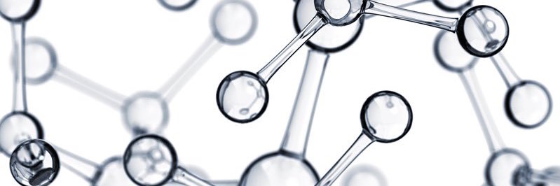 Virginia Amann banner