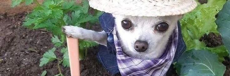 🔞YonStar PornStudios🔞 // C00m Open banner