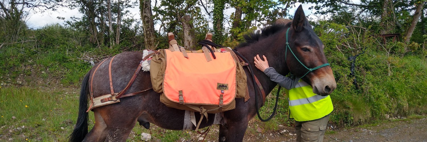 Zoe and Falco Walk for Earth banner