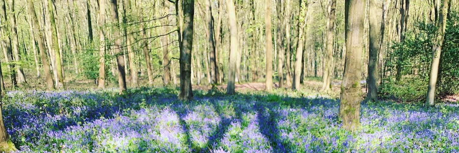 Tristan Gooley 🌳 banner