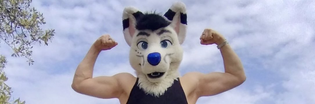 Forte 🔜 TFS banner