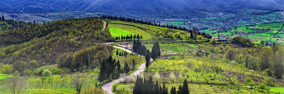 Cicekfida's profile banner image