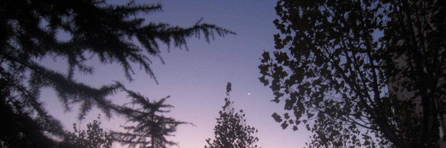 L banner