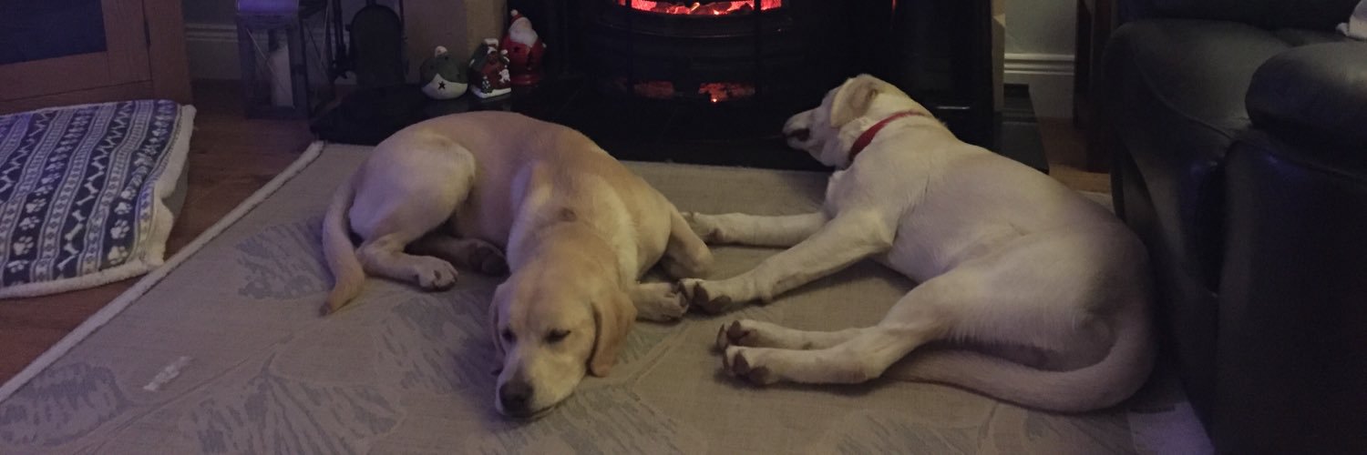 Joanne Murphy banner