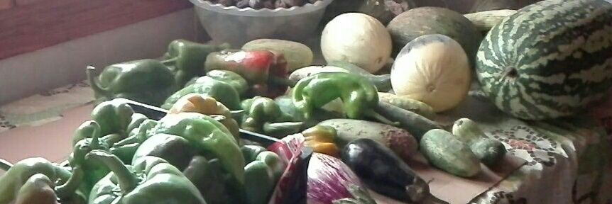 Gobierno de Catonia banner