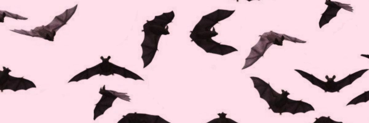 messagekcals's profile banner image