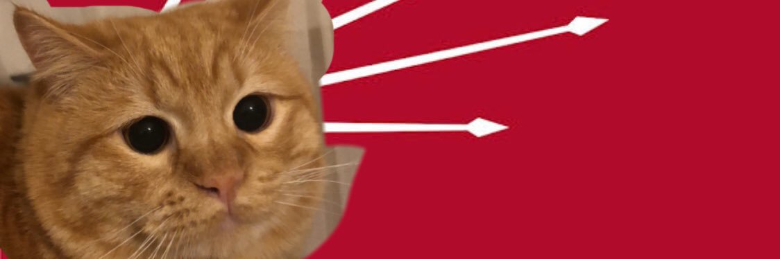 ecemmmes's profile banner image