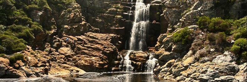 Devin Pillemer banner