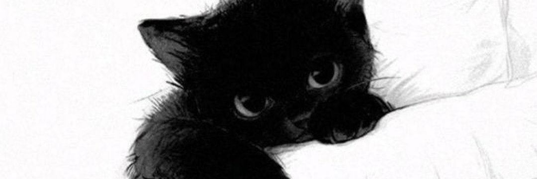 hαii ! 𐙚 ♡ banner