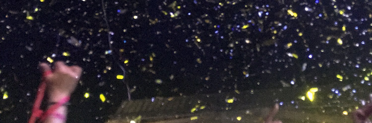 _sallyyann_'s profile banner image