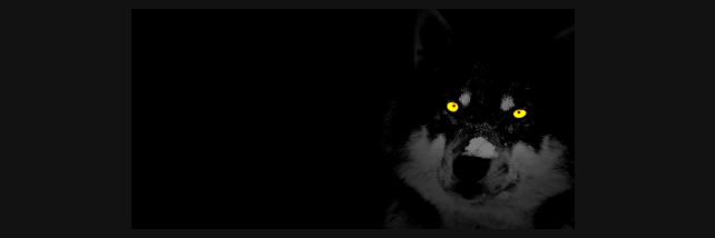 ryandryond's profile banner image