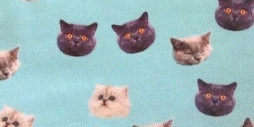 yourkayf's profile banner image