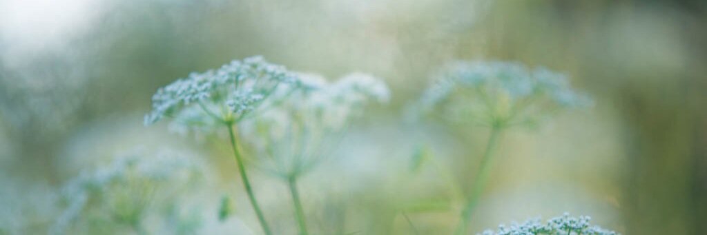 KarinBj's profile banner image